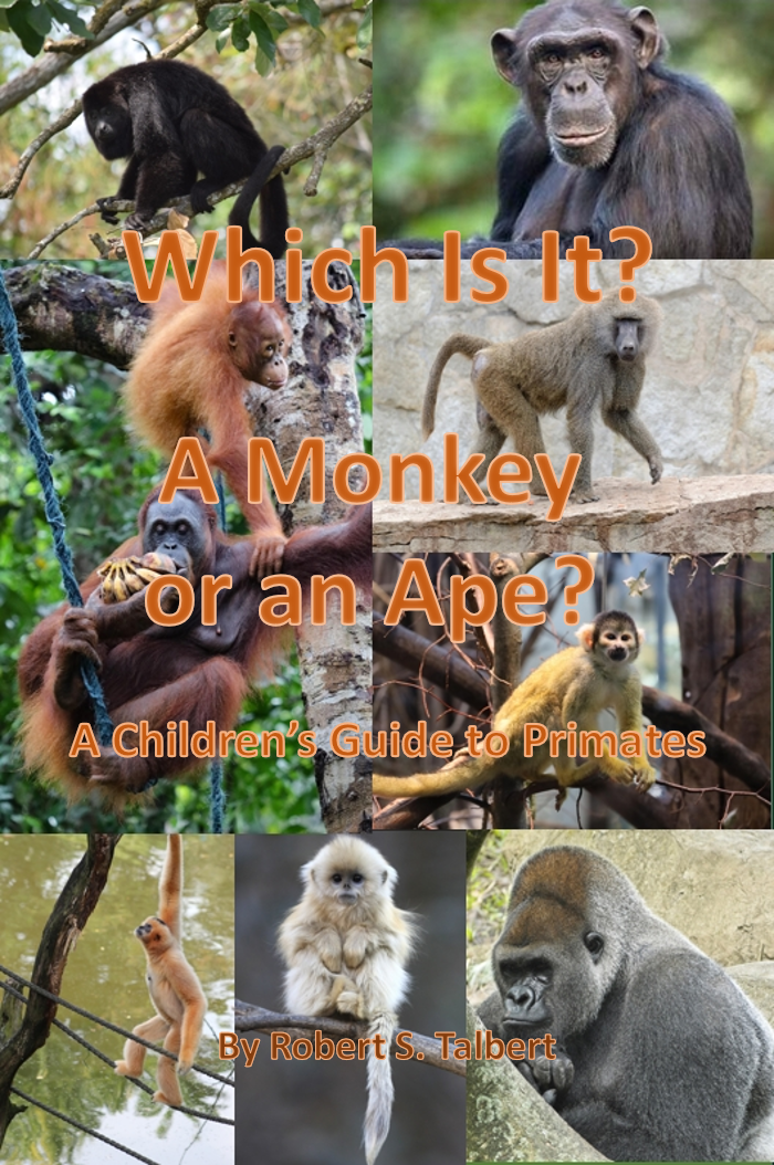 Which Is It? A Monkey or an Ape? Cover